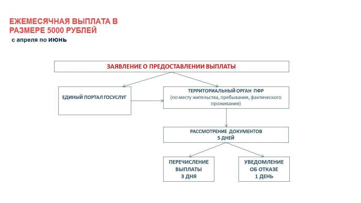 Социальные выплаты | Администрация городского округа Люберцы Московской  области